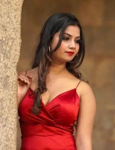 call girl service in Madiwala